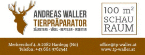 Andreas Waller Tierpräparator