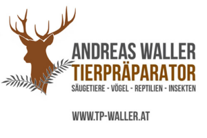 Andreas Waller